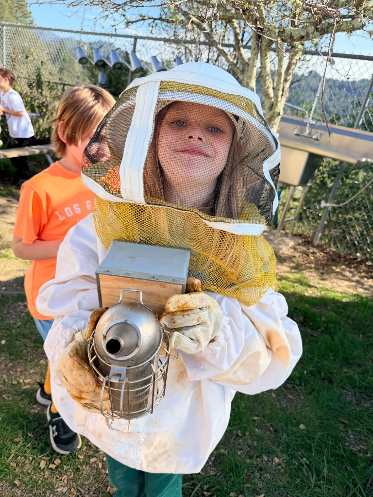 Pollinators and Beekeeping