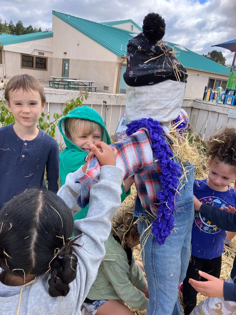 Scarecrow Building in the Garden